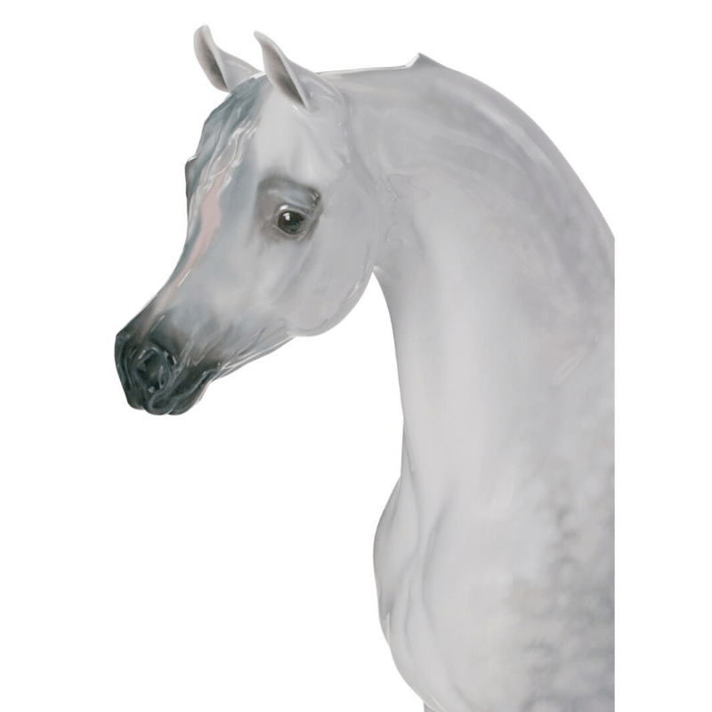 Lladro Inspiration Arabian Pure Breed (Limited Edition)